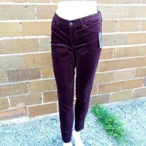 New Mossimo Maroon Velvet Jeggings